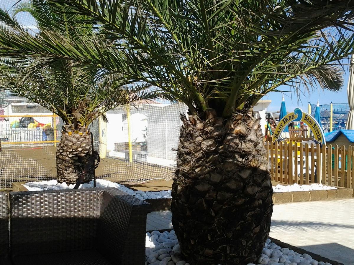 Residence Adriatico Gabicce Mare Exterior photo
